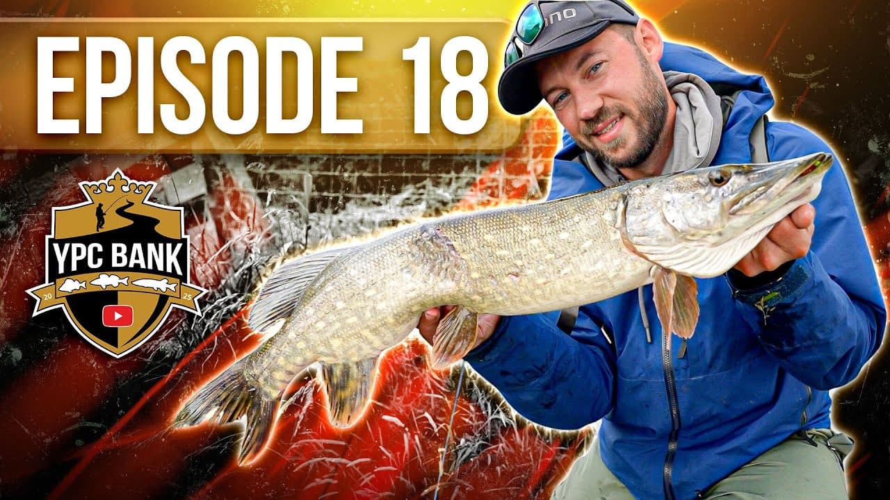 YouTube Predator Cup BANK – Staffel 7, Folge 18