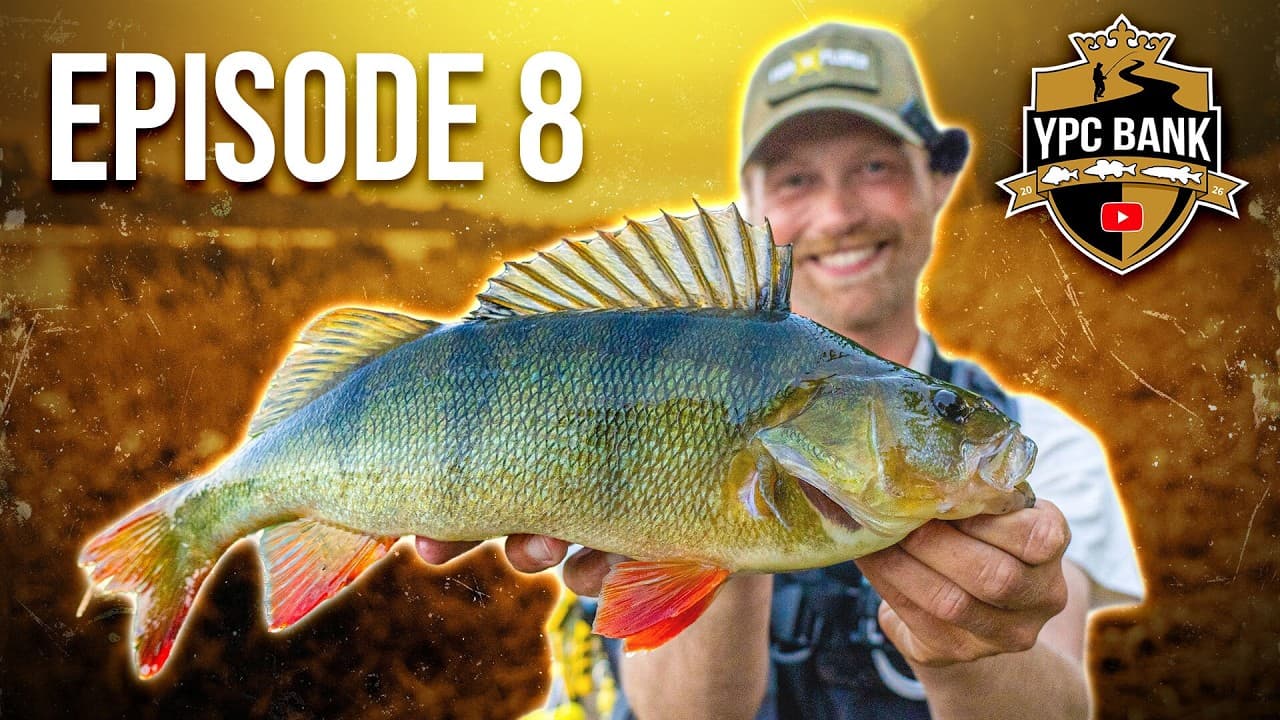YouTube Predator Cup BANK – Staffel 8, Folge 8