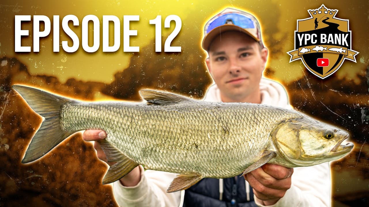 YouTube Predator Cup BANK – Staffel 8, Folge 12