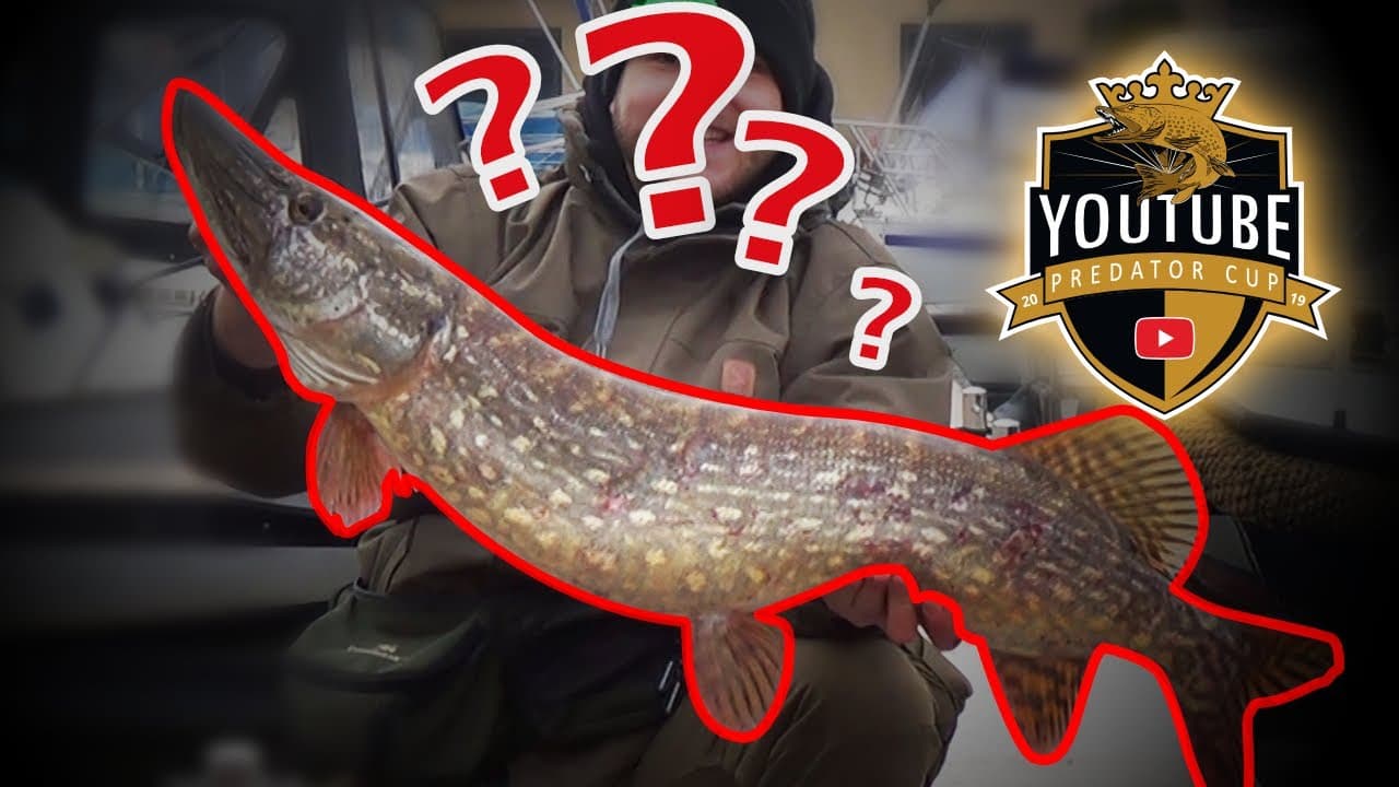 YouTube Predator Cup – Staffel 2019, Folge 1