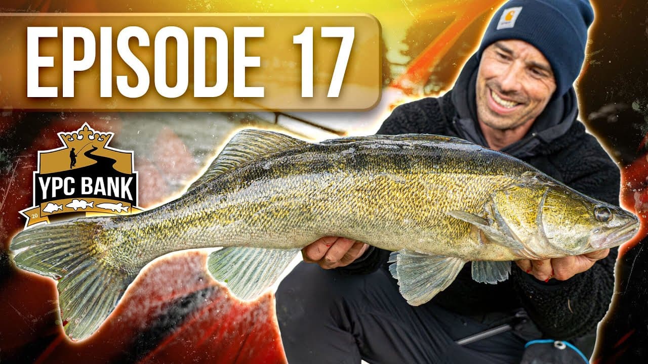 YouTube Predator Cup BANK – Staffel 7, Folge 17