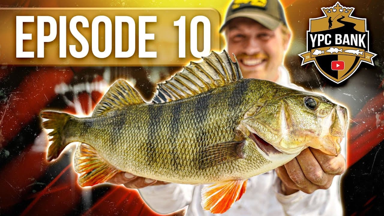 YouTube Predator Cup BANK – Staffel 7, Folge 10