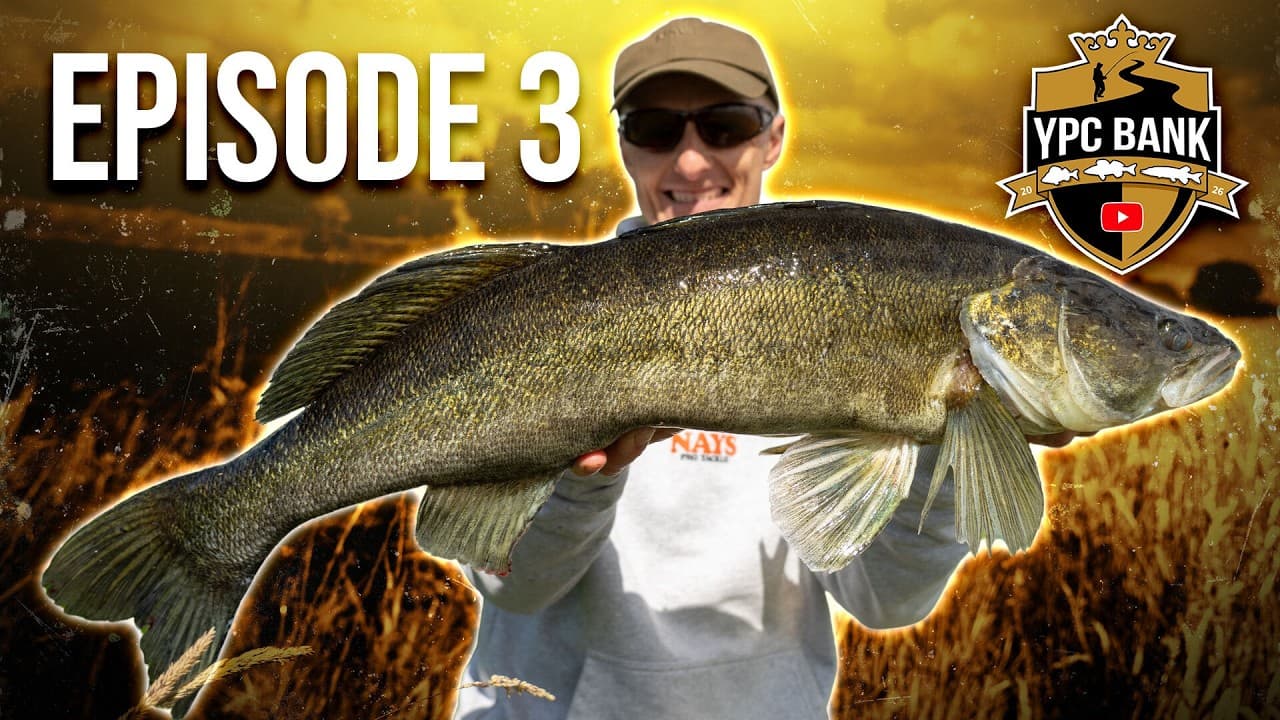 YouTube Predator Cup BANK – Staffel 8, Folge 3