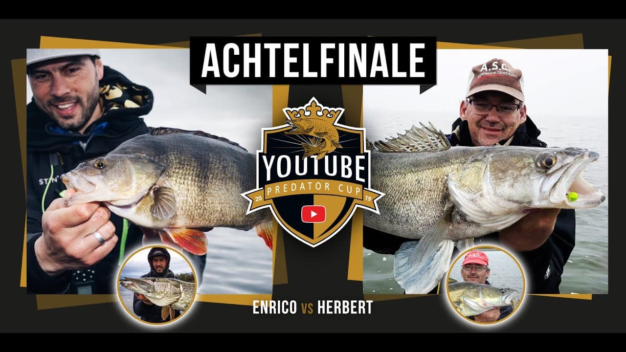 YouTube Predator Cup – Staffel 2019, Folge 6