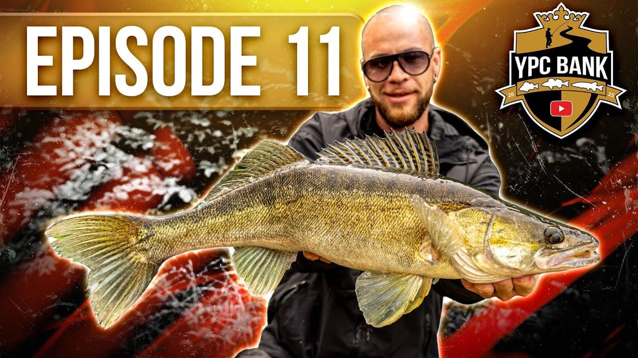 YouTube Predator Cup BANK – Staffel 7, Folge 11
