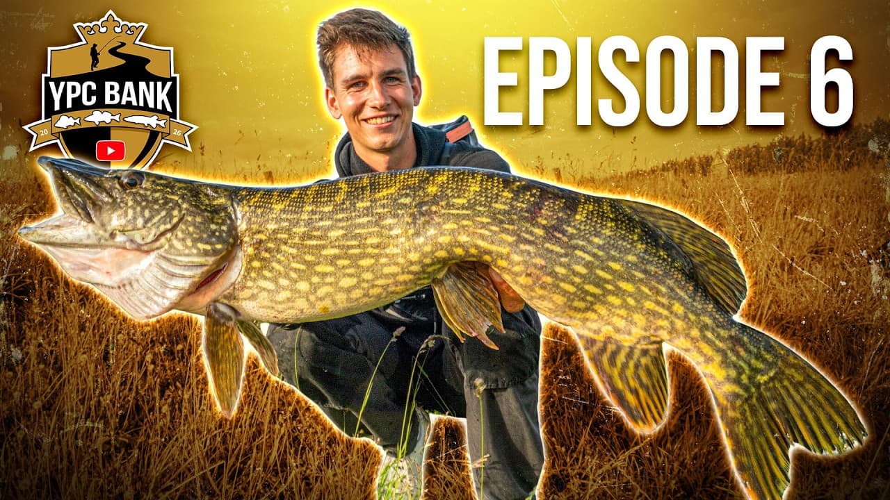 YouTube Predator Cup BANK – Staffel 8, Folge 6