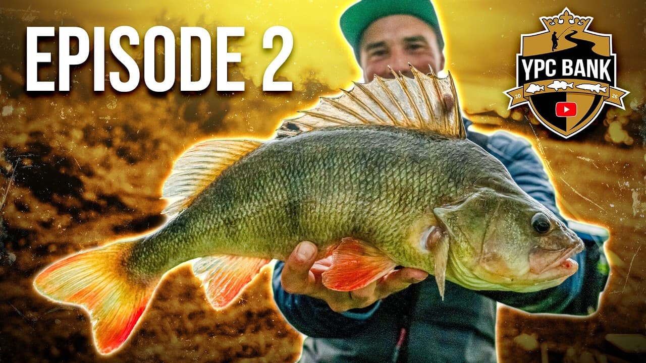 YouTube Predator Cup BANK – Staffel 8, Folge 2