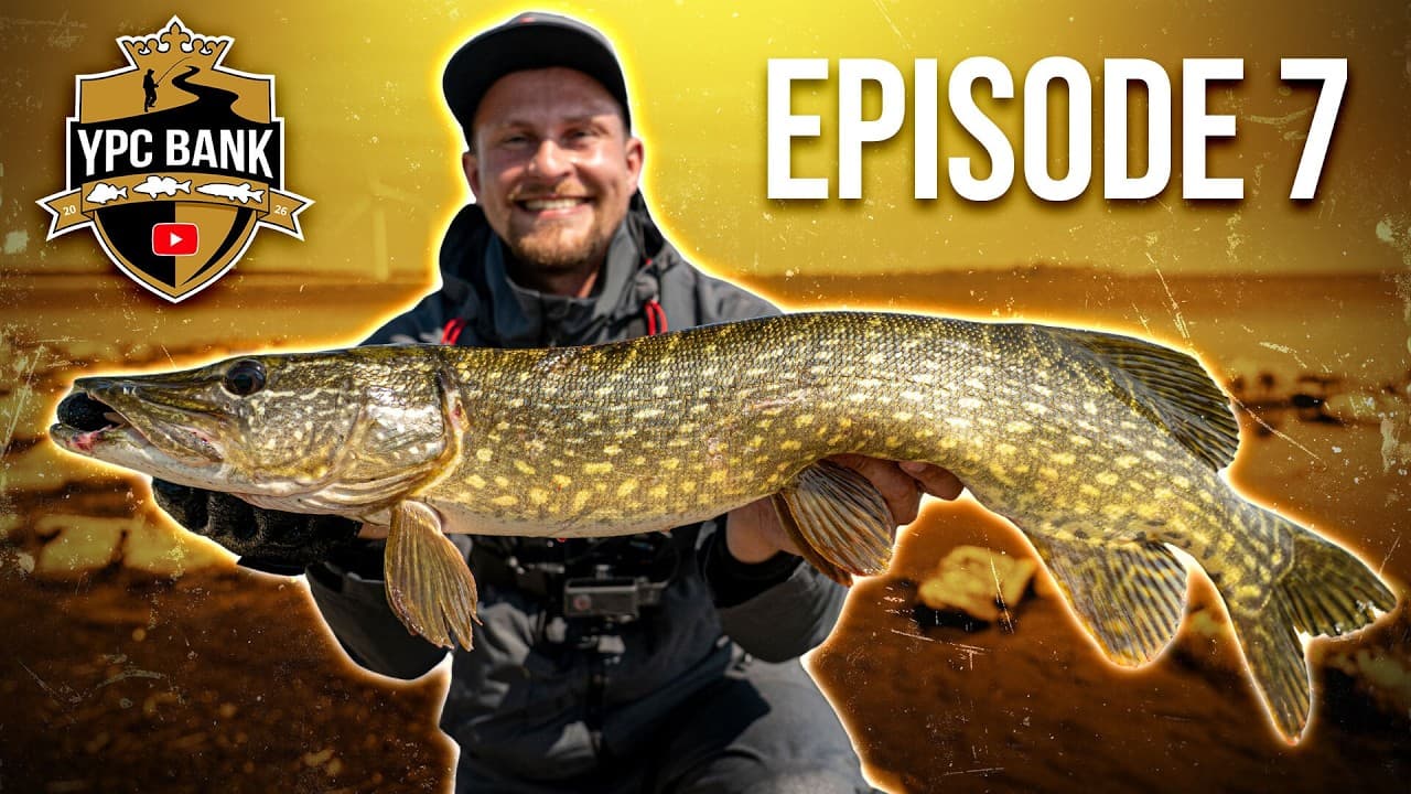 YouTube Predator Cup BANK – Staffel 8, Folge 7