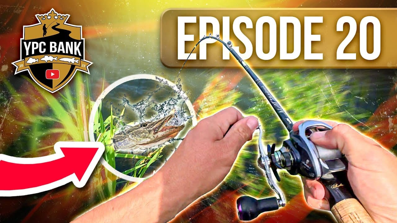 YouTube Predator Cup BANK – Staffel 7, Folge 20