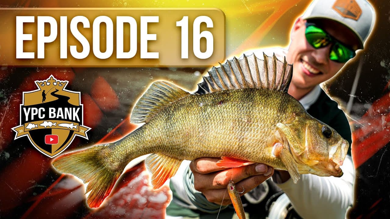 YouTube Predator Cup BANK – Staffel 7, Folge 16