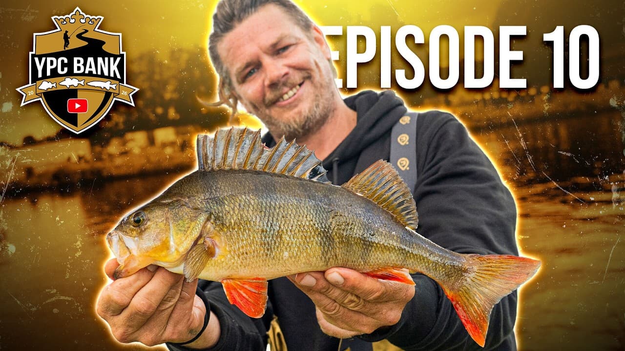 YouTube Predator Cup BANK – Staffel 8, Folge 10