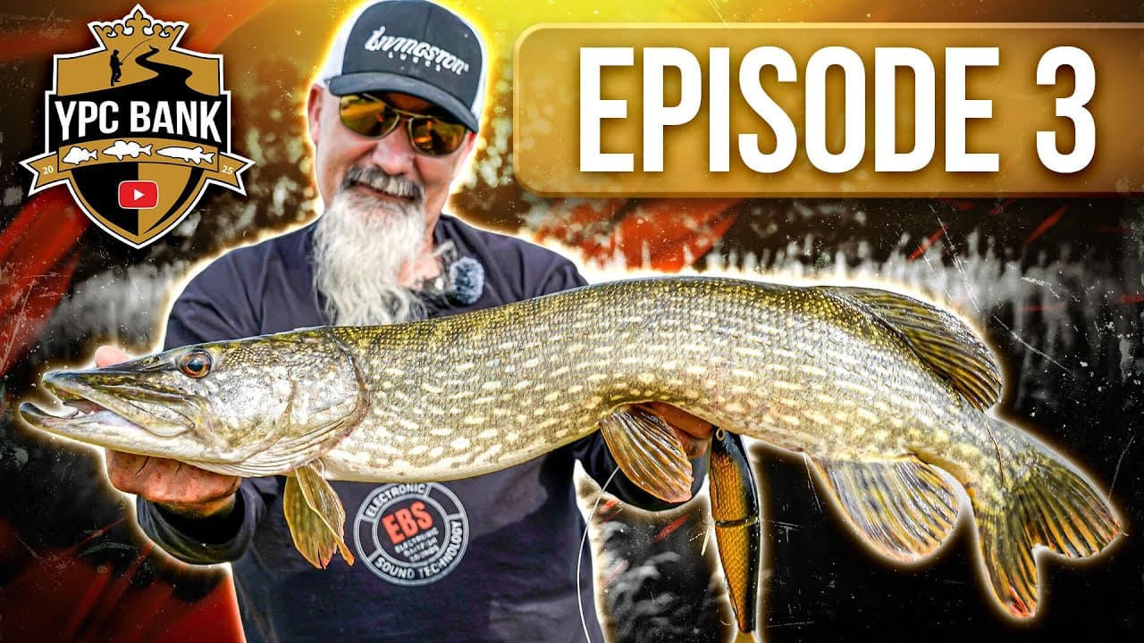 YouTube Predator Cup BANK – Staffel 7, Folge 3