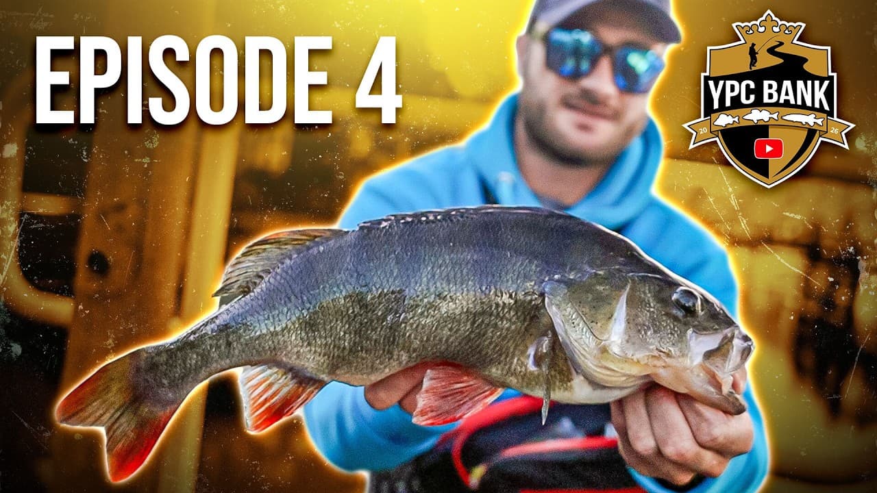 YouTube Predator Cup BANK – Staffel 8, Folge 4