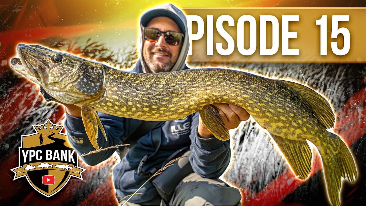 YouTube Predator Cup BANK – Staffel 7, Folge 15