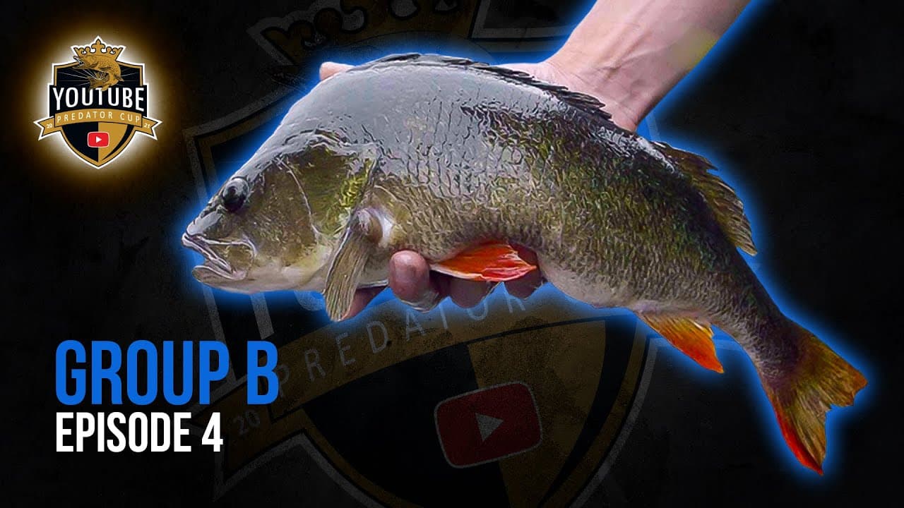 YouTube Predator Cup – Staffel 4, Folge 8
