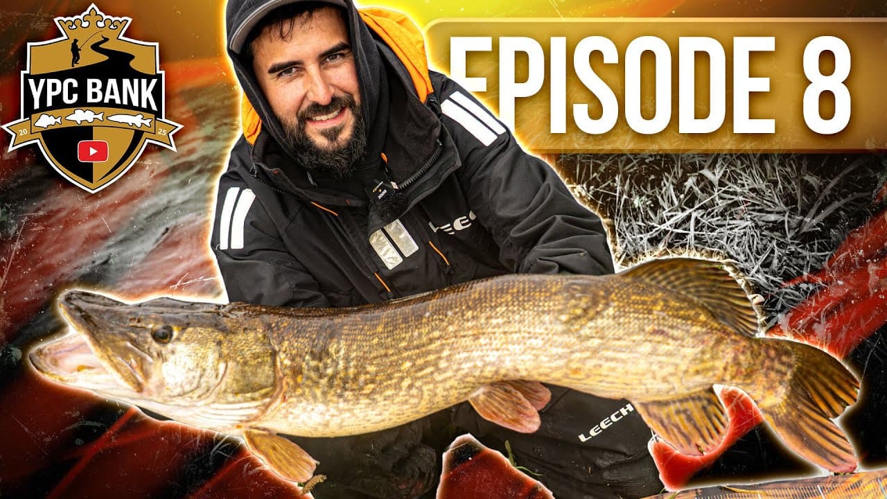 YouTube Predator Cup BANK – Staffel 7, Folge 8