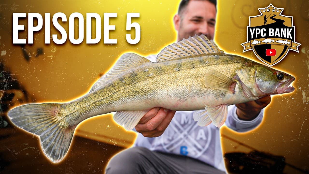 YouTube Predator Cup BANK – Staffel 8, Folge 5