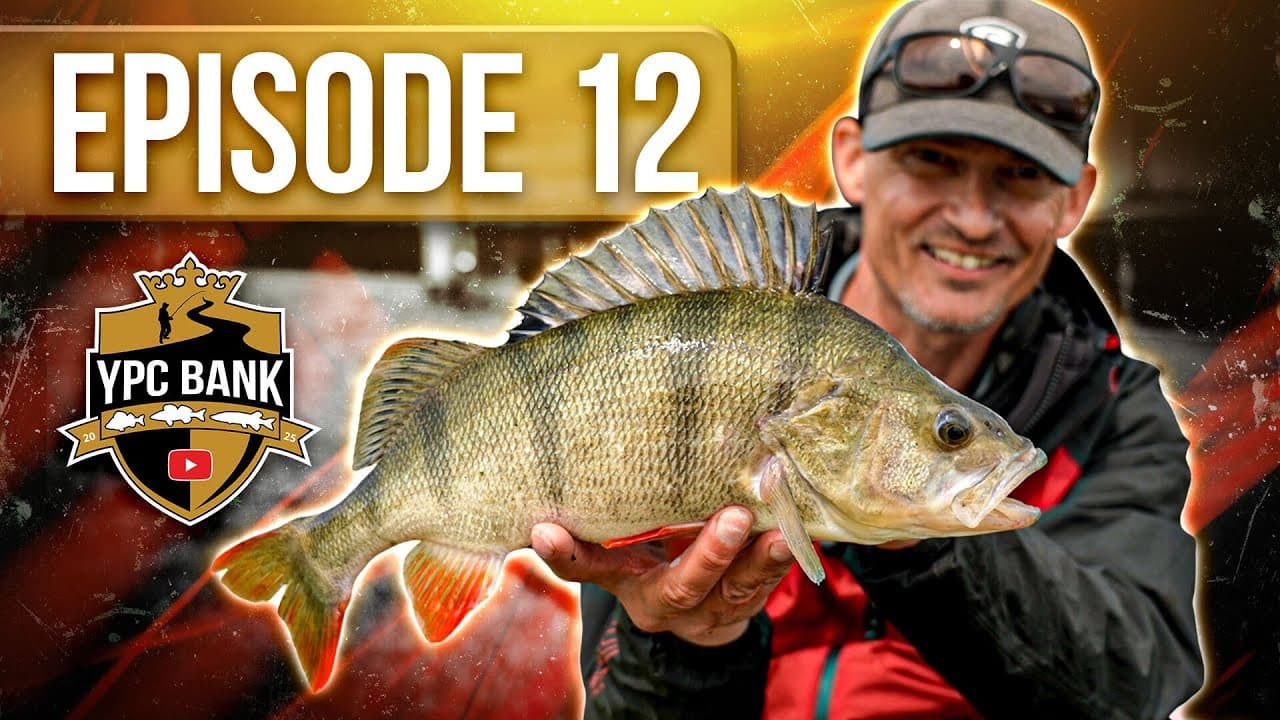 YouTube Predator Cup BANK – Staffel 7, Folge 12