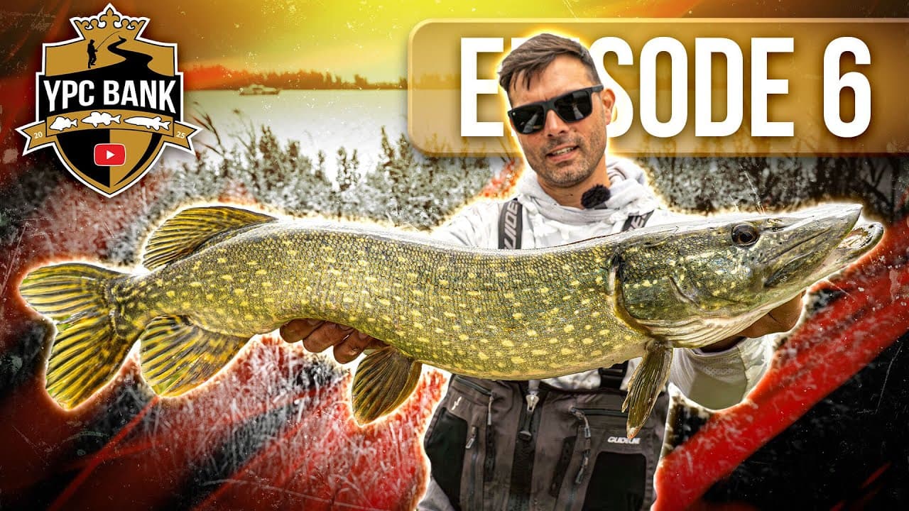 YouTube Predator Cup BANK – Staffel 7, Folge 6