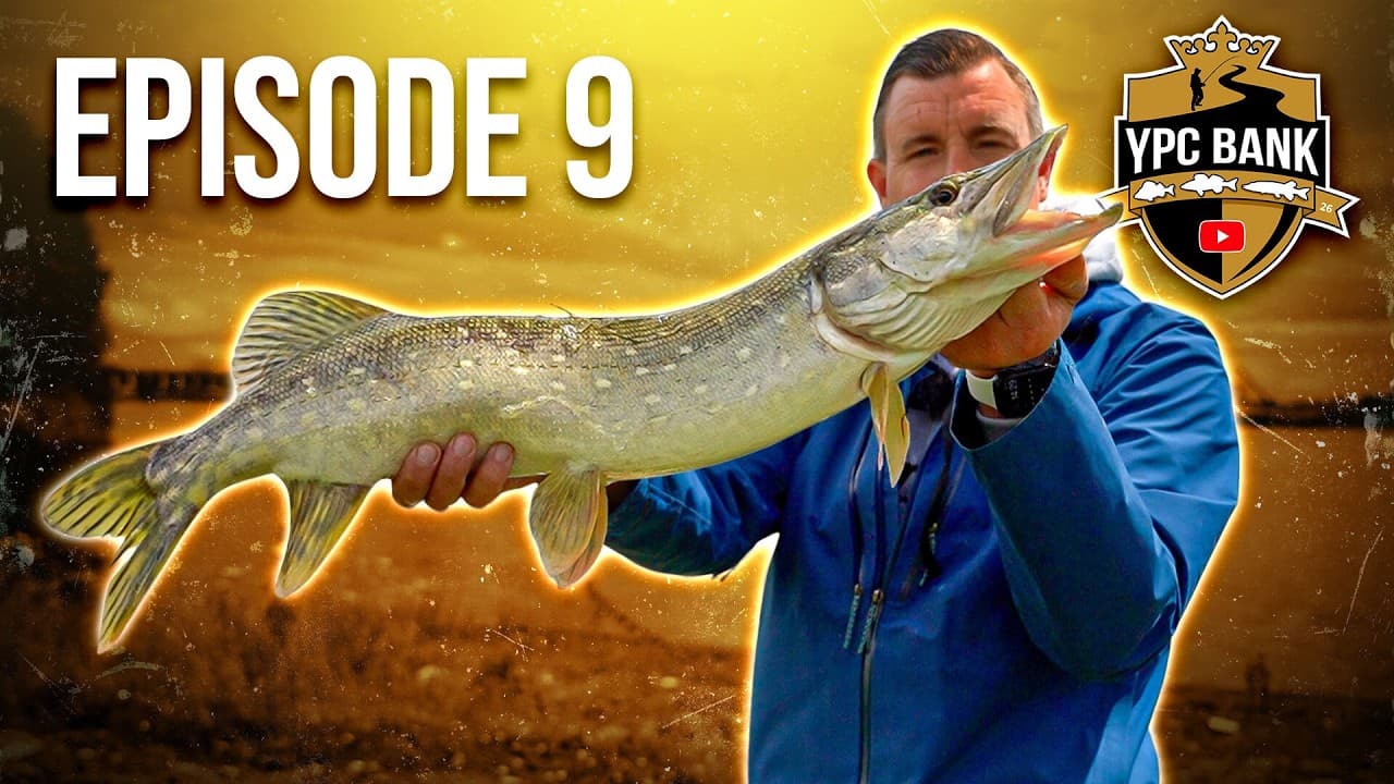 YouTube Predator Cup BANK – Staffel 8, Folge 9