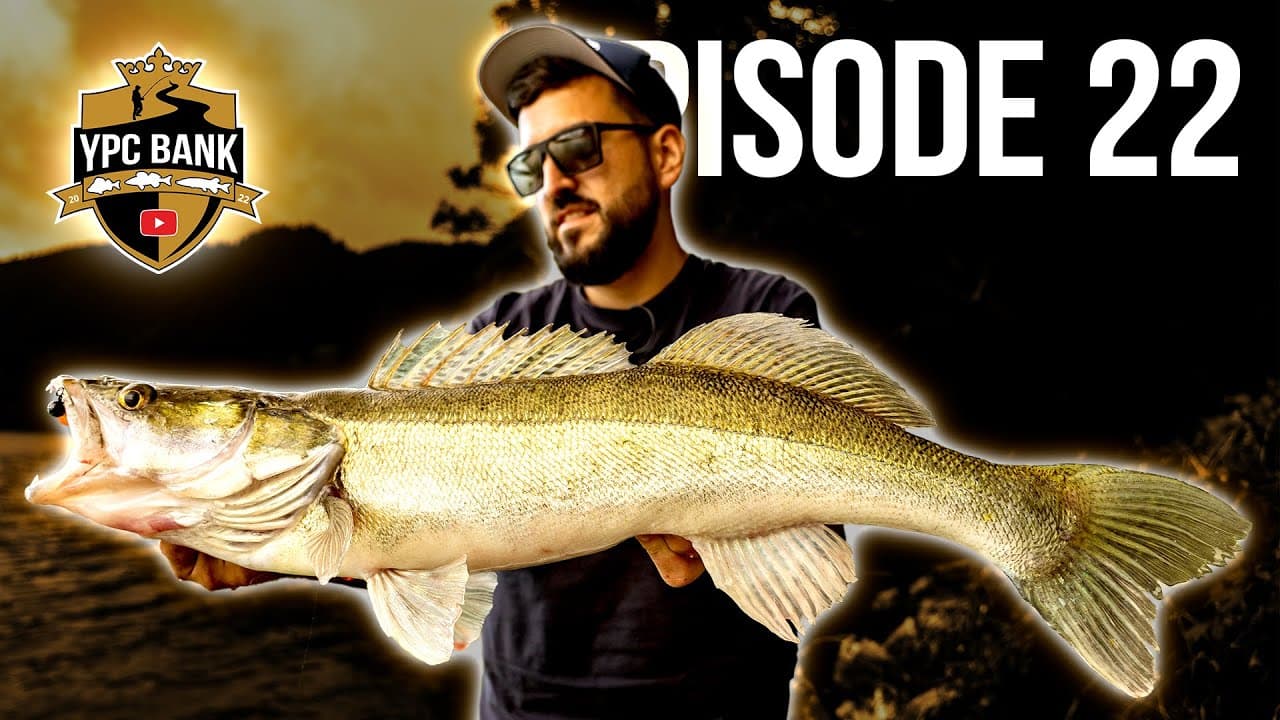 YouTube Predator Cup BANK – Staffel 5, Folge 22