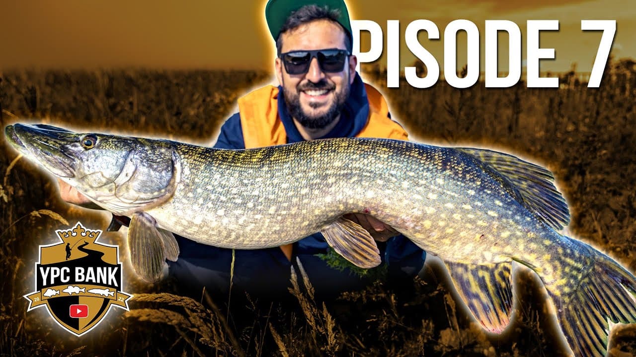 YouTube Predator Cup BANK – Staffel 5, Folge 7
