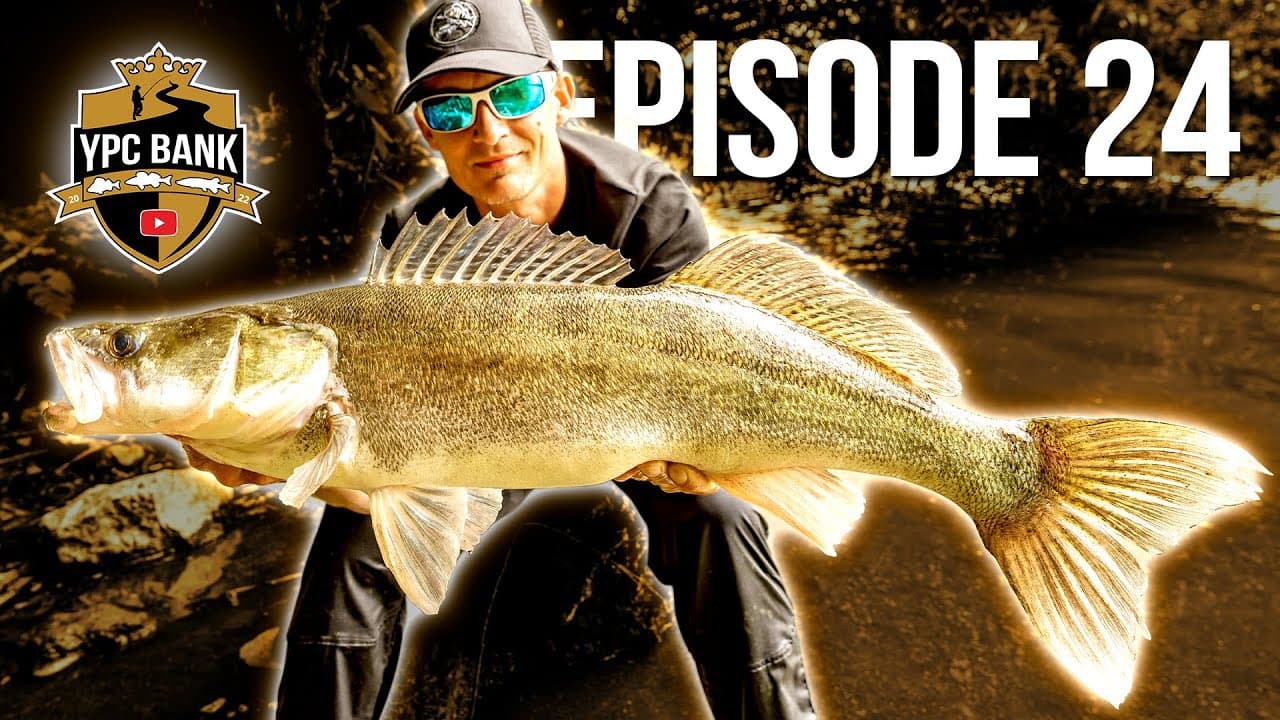 YouTube Predator Cup BANK – Staffel 5, Folge 24