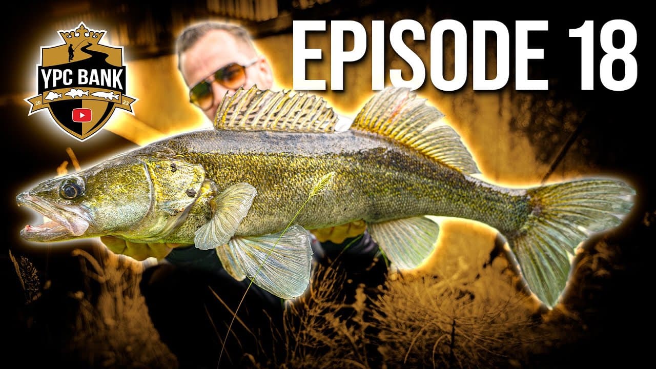 YouTube Predator Cup BANK – Staffel 6, Folge 18