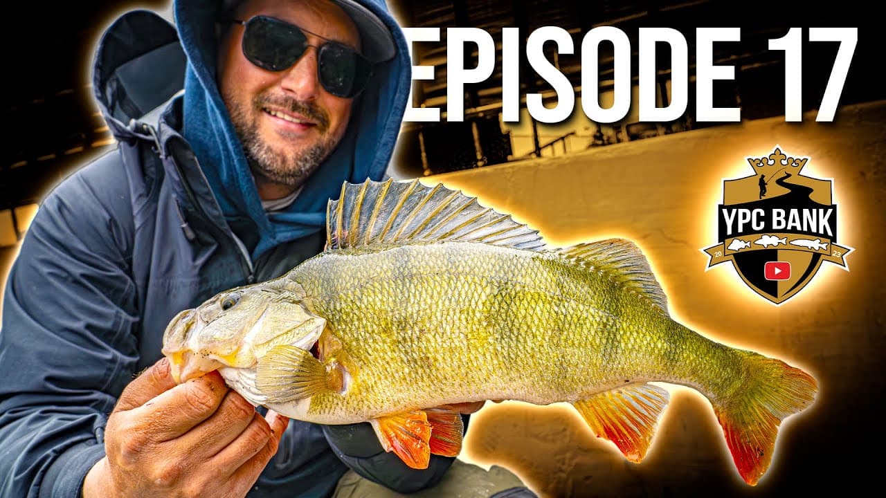 YouTube Predator Cup BANK – Staffel 6, Folge 17