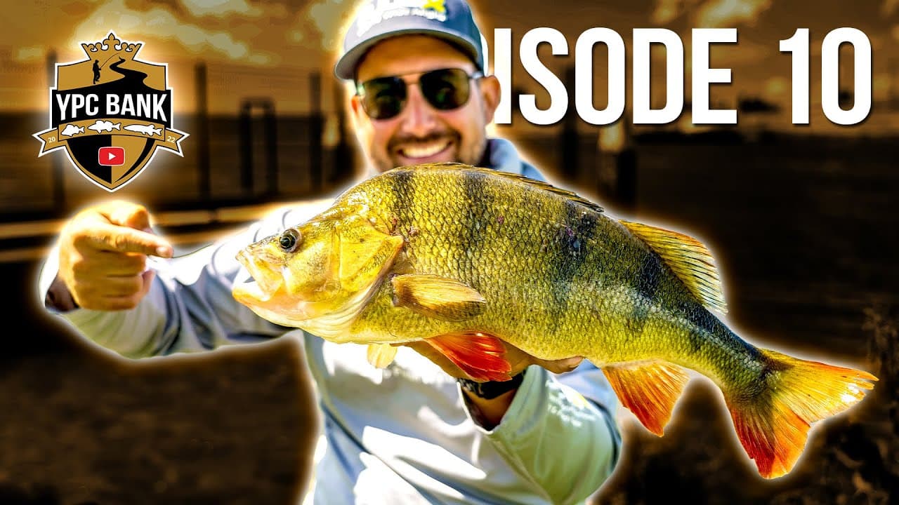 YouTube Predator Cup BANK – Staffel 5, Folge 10