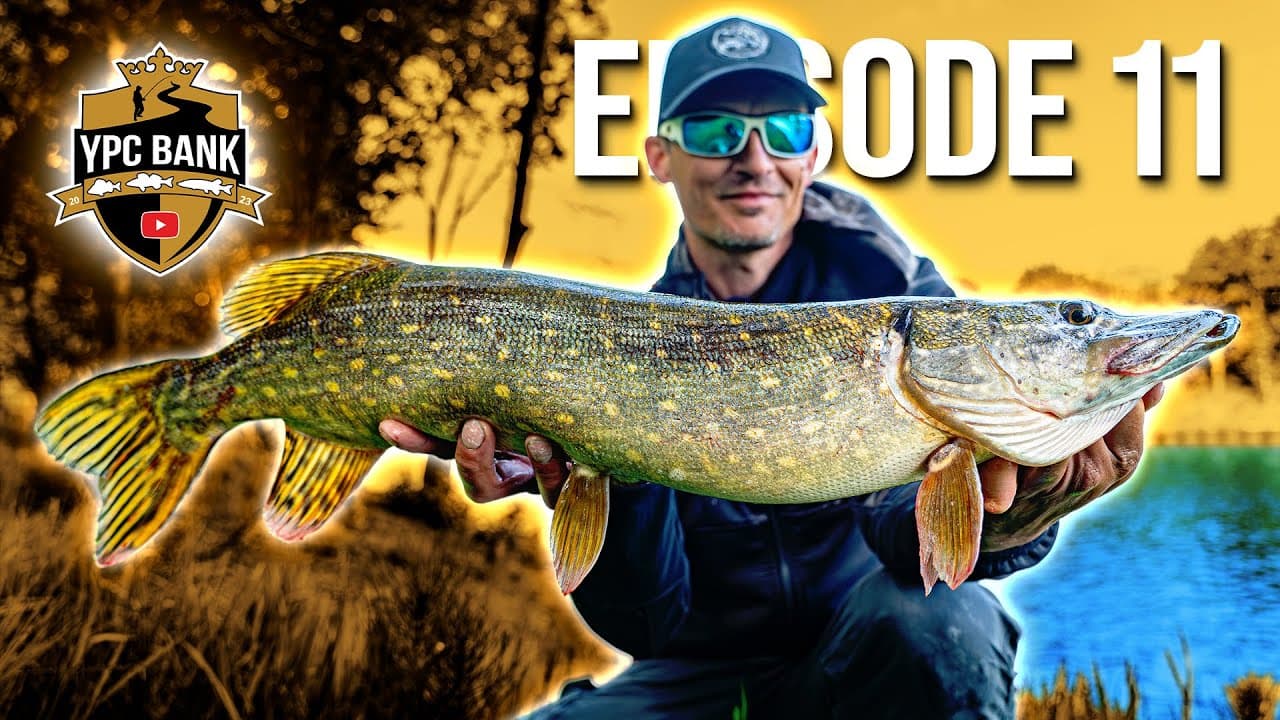 YouTube Predator Cup BANK – Staffel 6, Folge 11