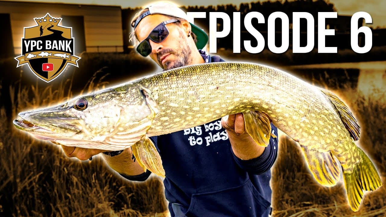 YouTube Predator Cup BANK – Staffel 5, Folge 6