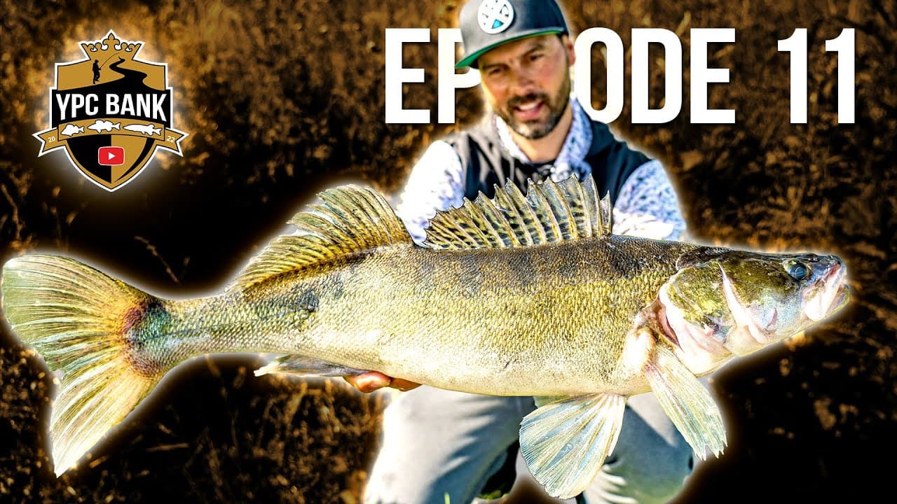 YouTube Predator Cup BANK – Staffel 5, Folge 11