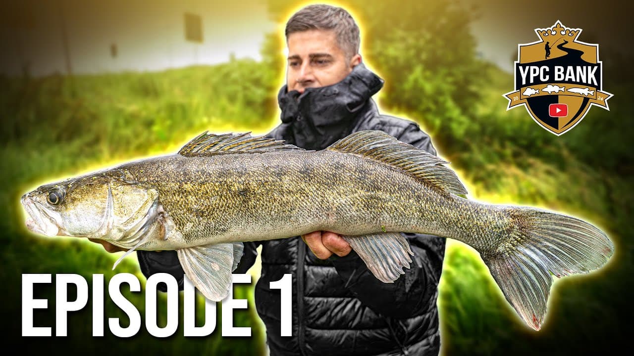 YPC Bank – Staffel 2024, Folge 1