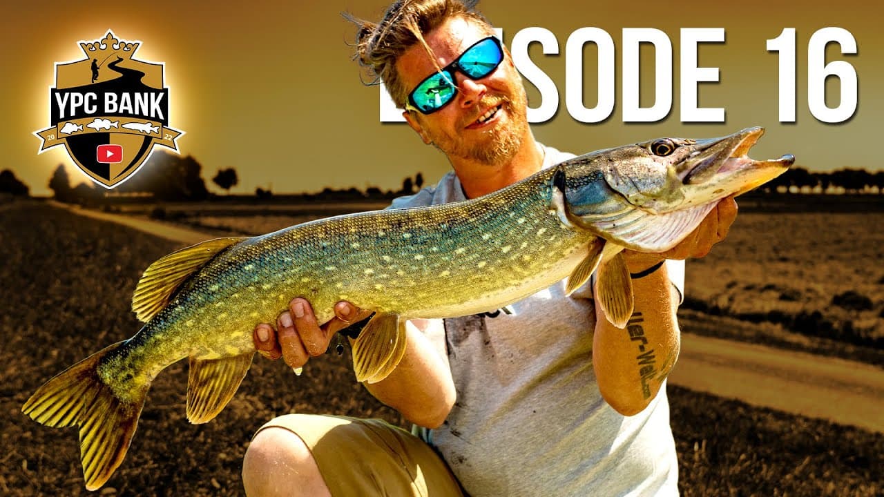 YouTube Predator Cup BANK – Staffel 5, Folge 16