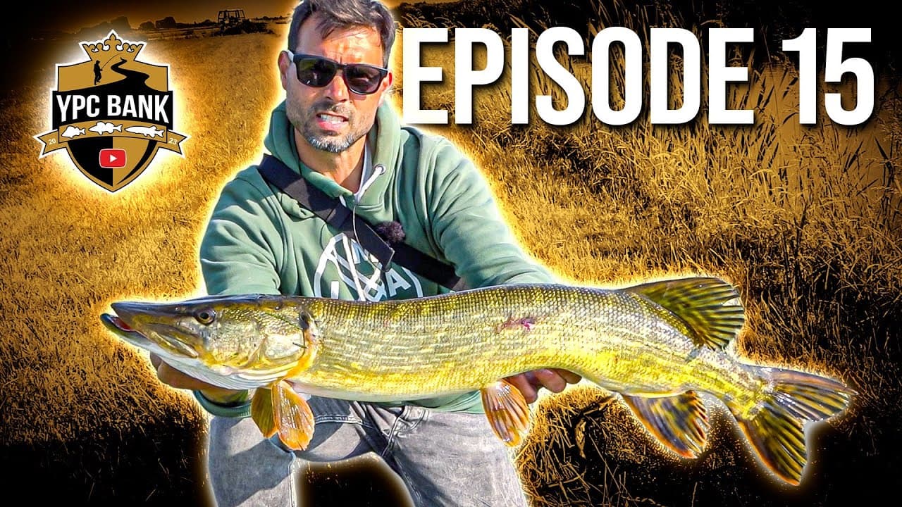 YouTube Predator Cup BANK – Staffel 6, Folge 15
