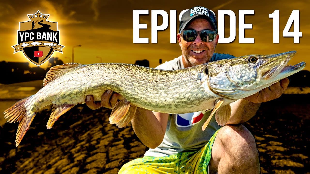 YouTube Predator Cup BANK – Staffel 5, Folge 14