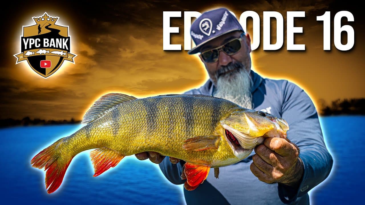 YouTube Predator Cup BANK – Staffel 6, Folge 16