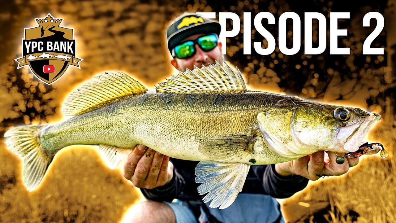 YouTube Predator Cup BANK – Staffel 6, Folge 2